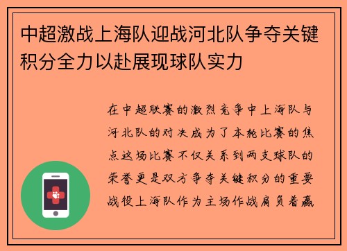 中超激战上海队迎战河北队争夺关键积分全力以赴展现球队实力